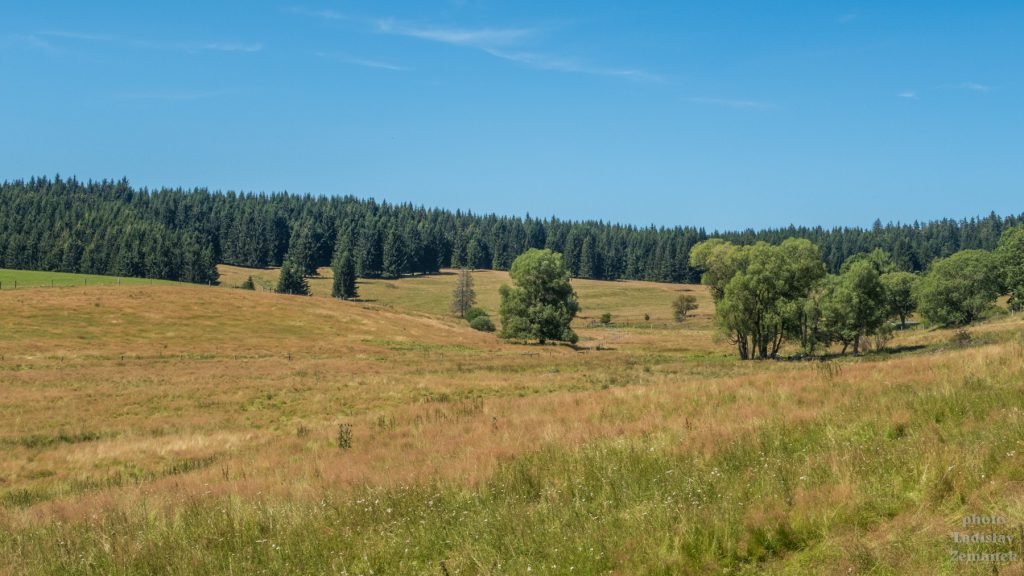 Slavkovský les