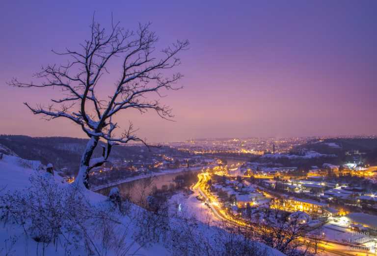 Praha - Podhoří - večerní silueta stromu, sníh a řeka