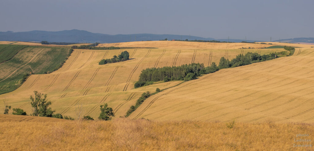 Šardice a okolí - Moravské Toskánsko - výhled přes šardické biopásy