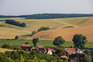 Šardice a Šardický remízek