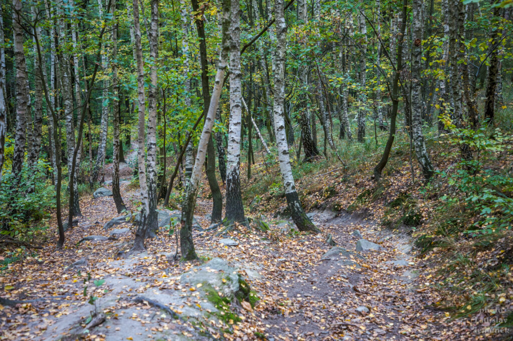 Podzimní Opárenské údolí