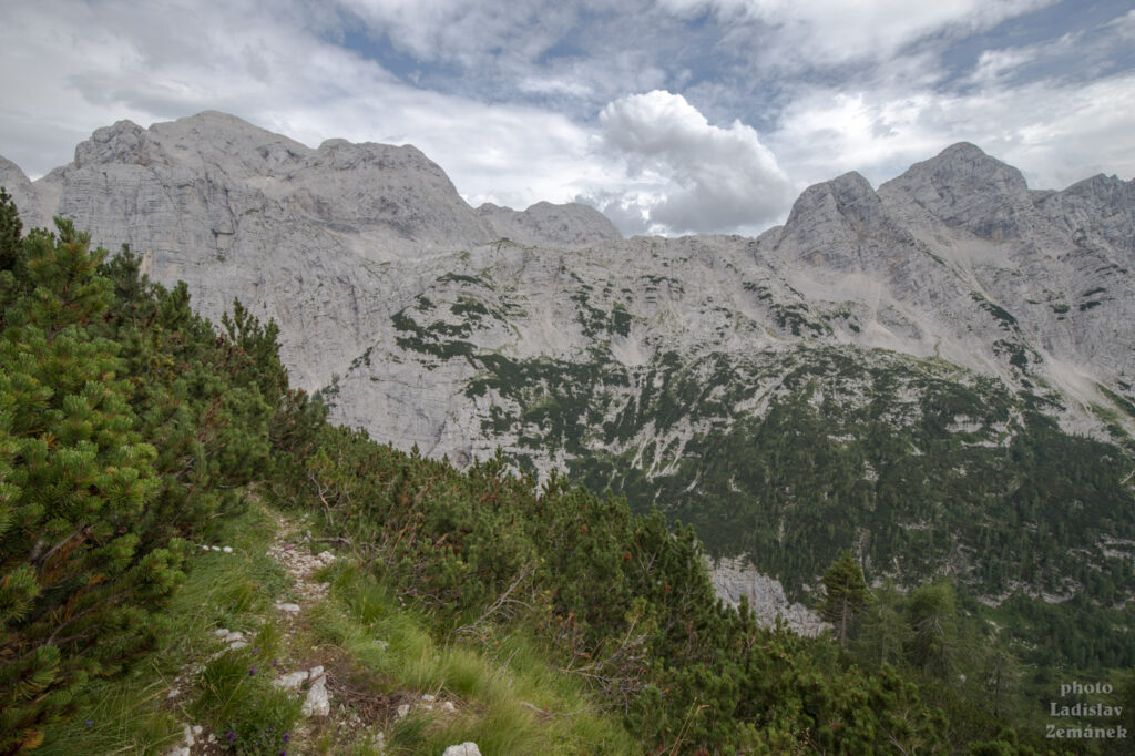 Zadnjiški Ozebnik - výhled na alpské vrcholy