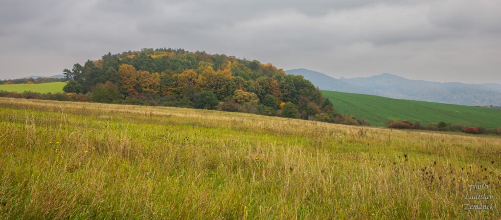 Podzimní Křivoklátsko - Týřovický vrch
