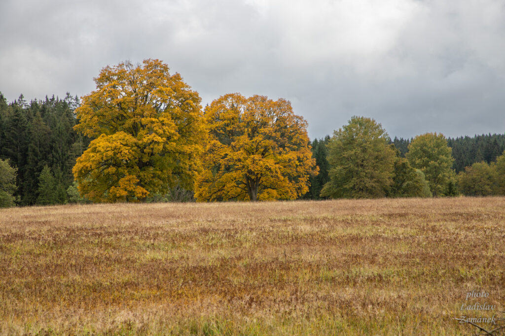 barevný podzim - cesta na Kamenec
