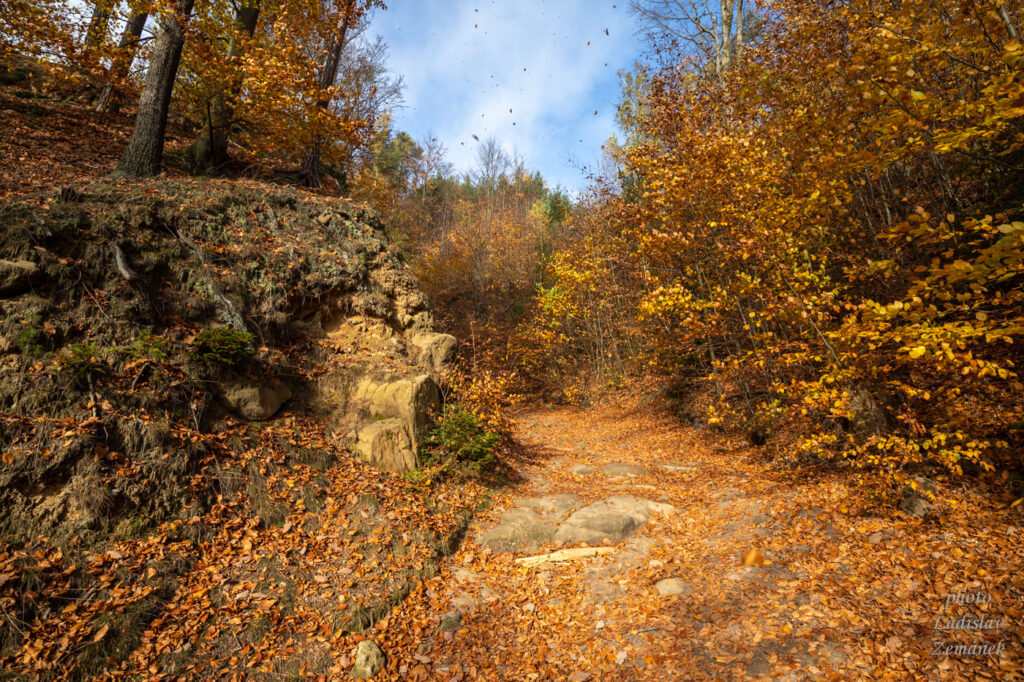 Podzim v lese u Jetřichovic