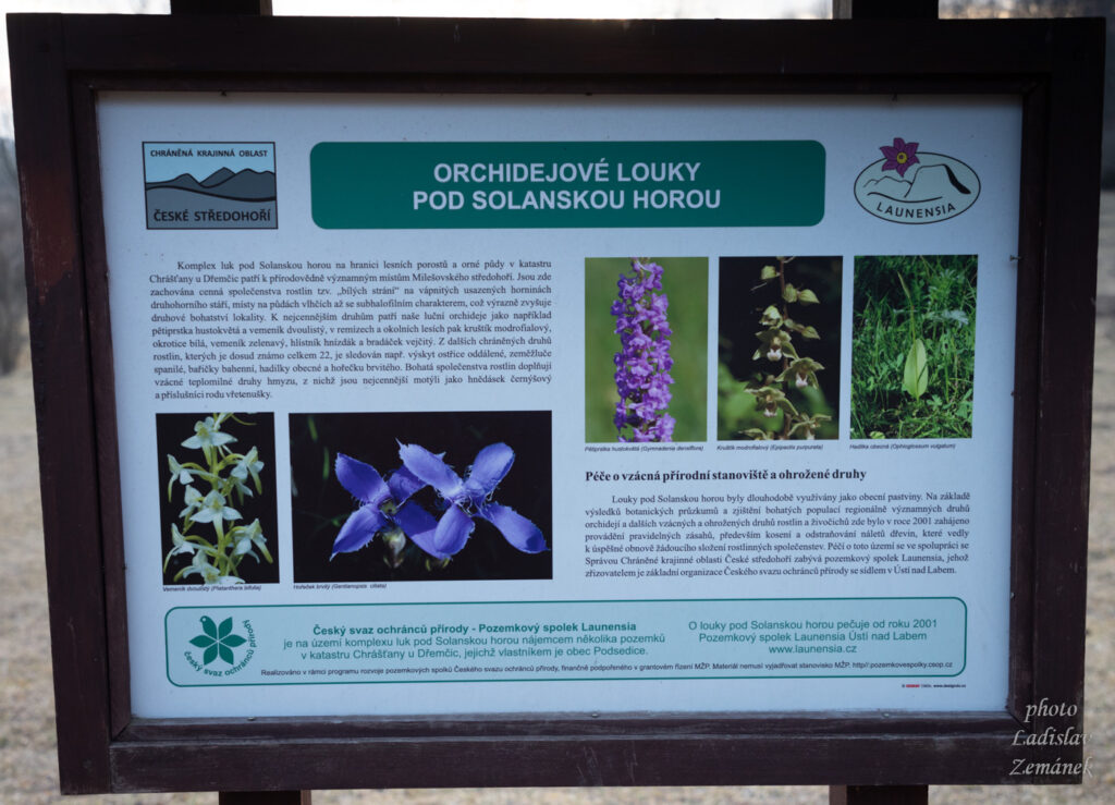 info - Orchidejové louky pod Solanskou horou