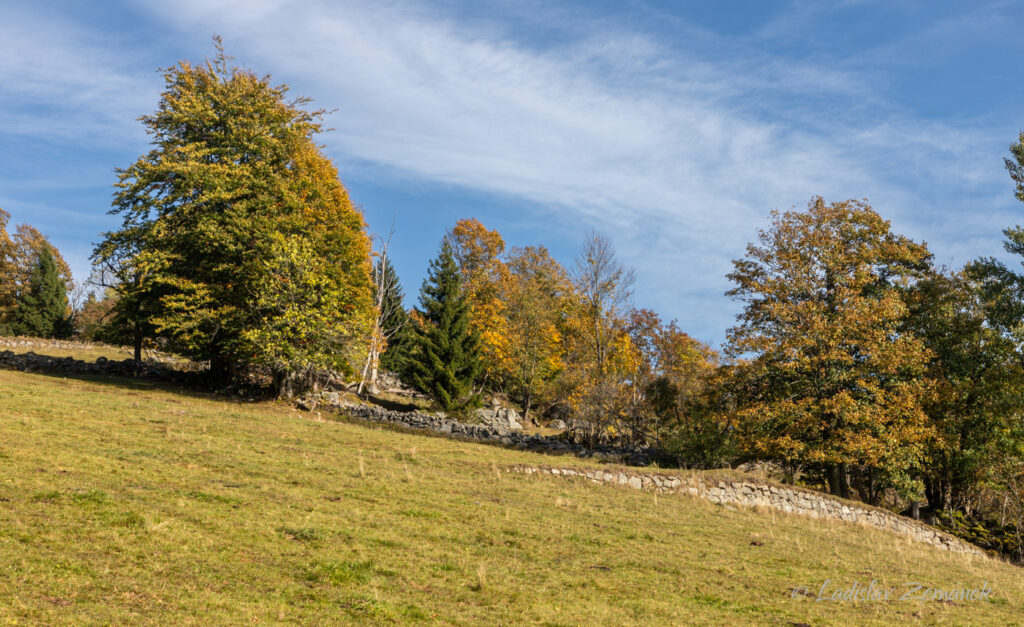 Bývalé Světlé Hory - terasy