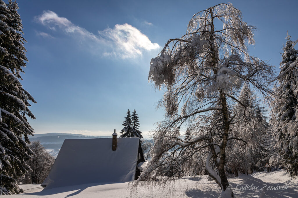 Studenov - námraza na stromě za slunečného zimního dne