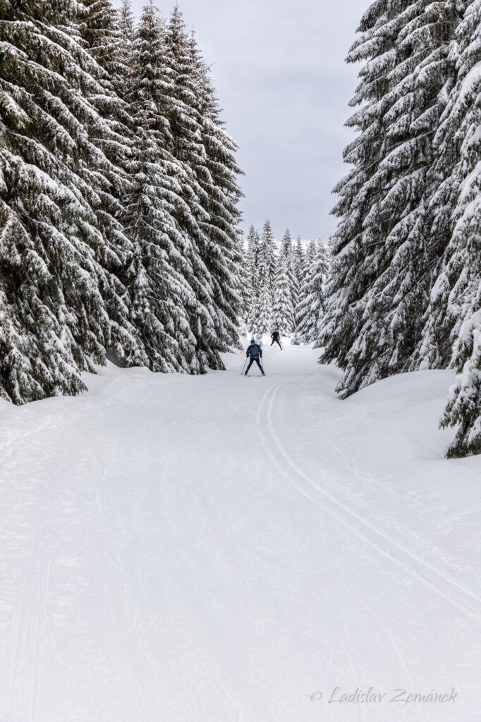 Zimní cesta na Voseckou boudu - lyžaři