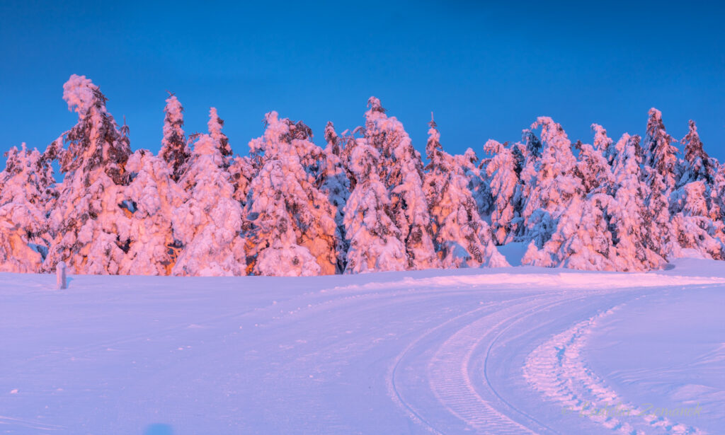 Vosecká bouda v zimě - západ slunce a osvětlené zasněžené stromy